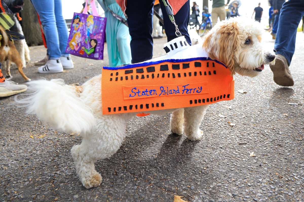 Chien déguisé en ferry de Staten Island pour la parade d'Halloween