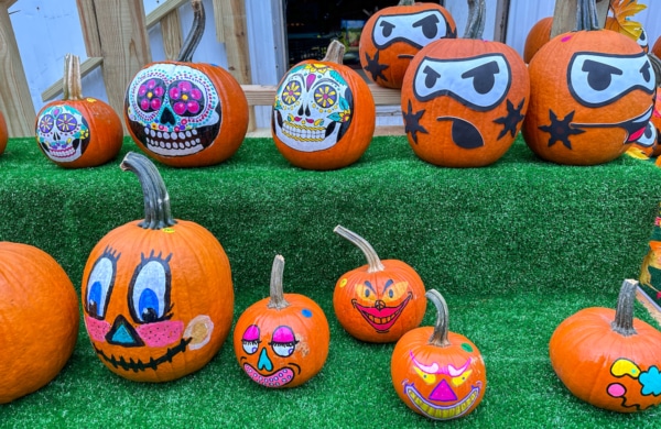 Citrouilles décorées à New York