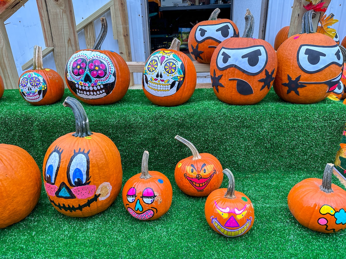 Citrouilles décorées à New York