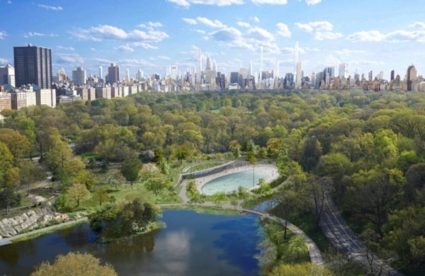 Piscine à Central Park au Davis Center