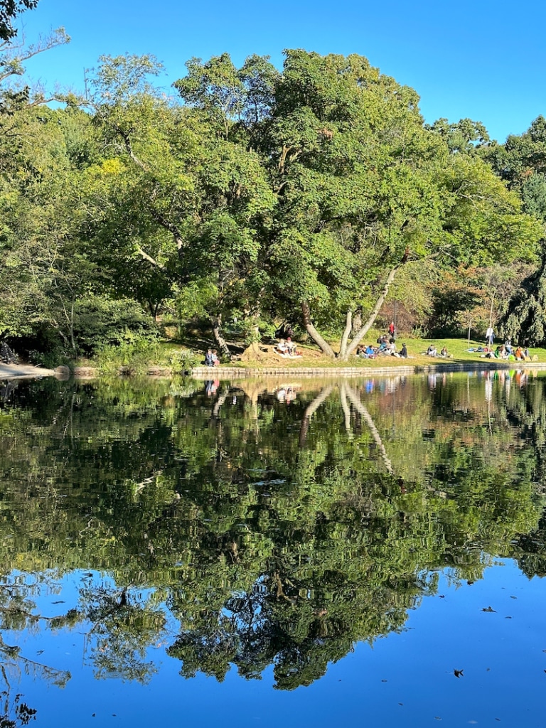 Lac à Prospect Park