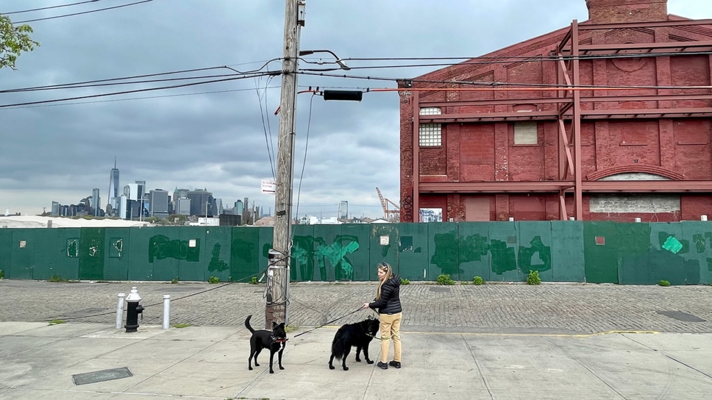 Vue sur la skyline de Manhattan depuis Red Hook
