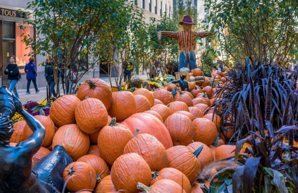 Citrouilles et décos d'Halloween au Rockefeller Center à New York