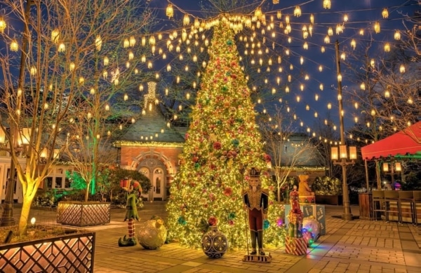 Sapin illuminé de nuit au restaurant Tavern on the Green à Central Park