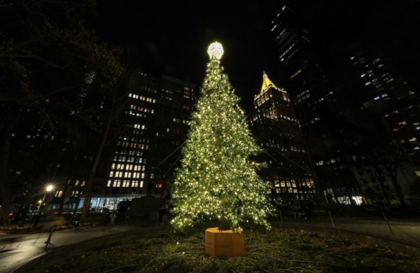 Sapin illuminé de nuit du Madison Square Park