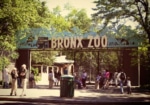 Zoo du Bronx New York