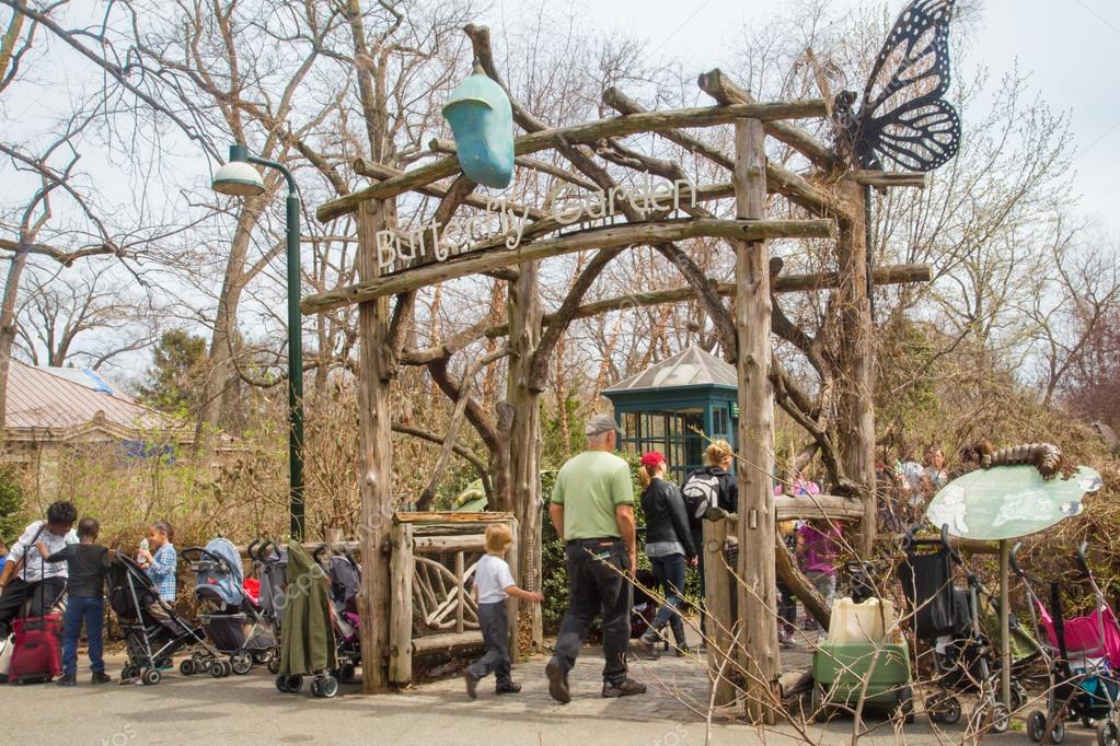 Butterfly Garden, le jardin des papillons au zoo du Bronx à New York
