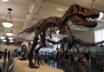 Dinosaure du Musée d'Histoire Naturelle de New York