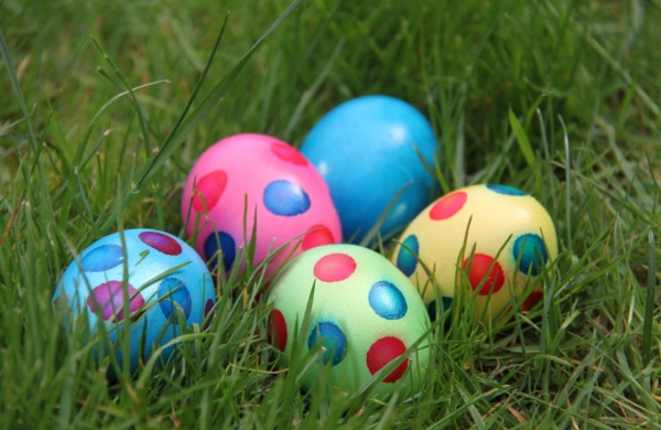 Chasse aux oeufs New York