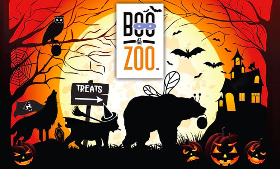 Zoo du bronx pendant Halloween à New York Boo in the Zoo