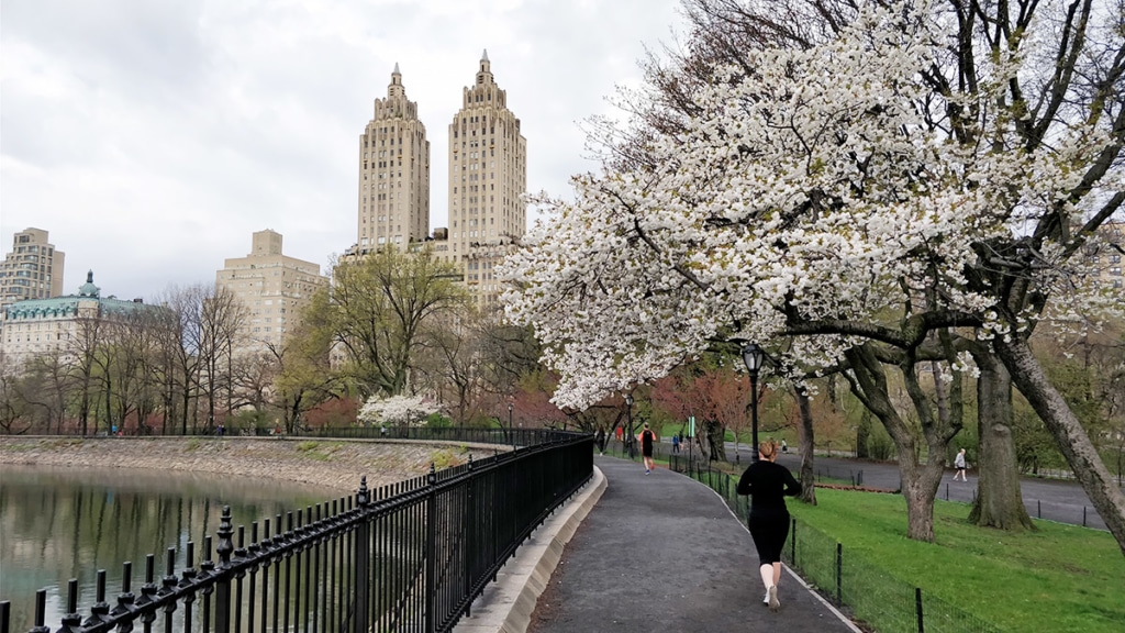 Footing à Central Park New York