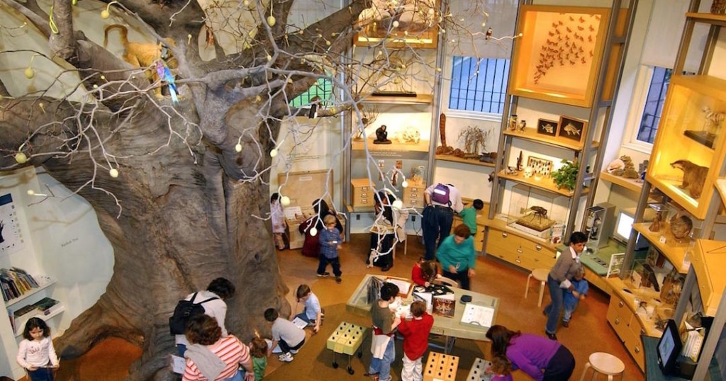 Vue d'en haut de la salle des découvertes du musée d'histoire naturelle de New York.